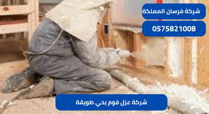 شركة عزل فوم بحي طويقة