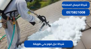 شركة عزل فوم بحي طويقة
