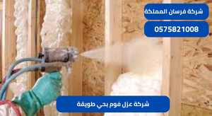 شركة عزل فوم بحي طويقة