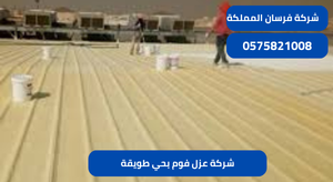شركة عزل فوم بحي طويقة