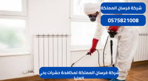 شركة فرسان المملكة لمكافحة حشرات بحي العليا