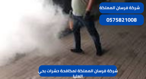 شركة فرسان المملكة لمكافحة حشرات بحي العليا