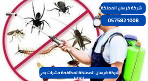 شركة فرسان المملكة لمكافحة حشرات بحي العليا