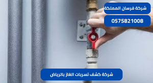 شركة كشف تسربات الغاز بالرياض