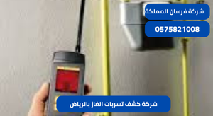 شركة كشف تسربات الغاز بالرياض