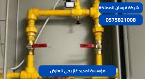 مؤسسة تمديد غاز بحي العارض 