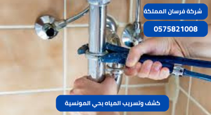 كشف وتسريب المياه بحي المونسية