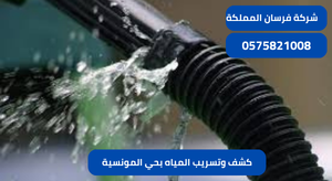 كشف وتسريب المياه بحي المونسية
