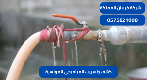 كشف وتسريب المياه بحي المونسية