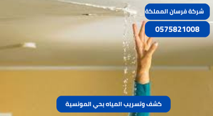 كشف وتسريب المياه بحي المونسية