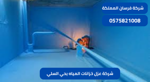 شركة عزل خزانات المياه بحي السلي