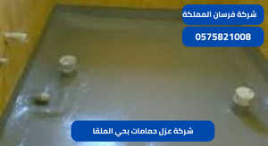 شركة عزل حمامات بحي الملقا