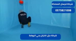 شركة عزل الخزان بحي الروضة