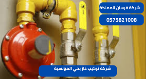 شركة تركيب غاز بحي المونسية