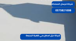 شركة عزل اسطح بحي ظهرة البديعة