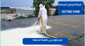 عزل فوم بحي ظهرة البديعة