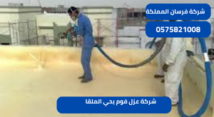 شركة عزل فوم بحي الملقا