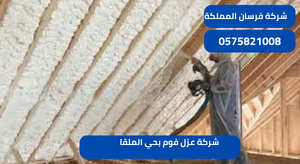 شركة عزل فوم بحي الملقا