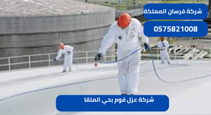 شركة عزل فوم بحي الملقا