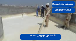 شركة عزل فوم بحي الملقا