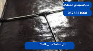 عزل حمامات بحي الملقا