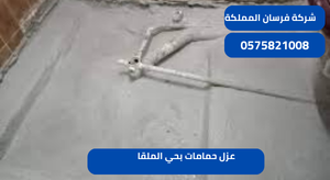 عزل حمامات بحي الملقا