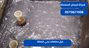 عزل حمامات بحي الملقا