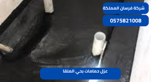 عزل حمامات بحي الملقا