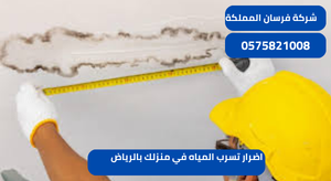 اضرار تسرب المياه في منزلك بالرياض