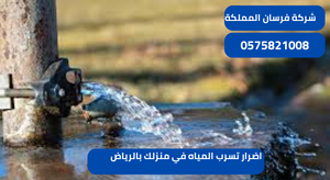 اضرار تسرب المياه في منزلك بالرياض