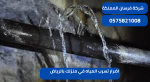 اضرار تسرب المياه في منزلك بالرياض