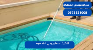 تنظيف مسابح بحي القدسيه