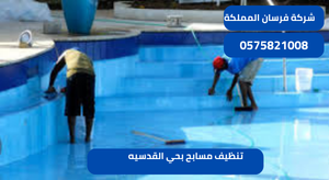 تنظيف مسابح بحي القدسيه