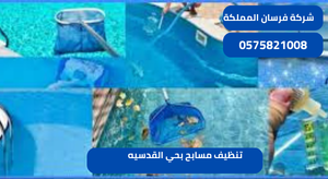 تنظيف مسابح بحي القدسيه