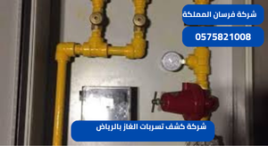 شركة كشف تسربات الغاز بالرياض