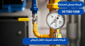 شركة كشف تسربات الغاز بالرياض