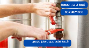 شركة كشف تسربات الغاز بالرياض