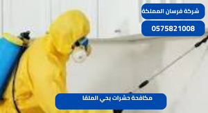 مكافحة حشرات بحي الملقا
