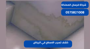 كشف تسرب الاسطح في الرياض
