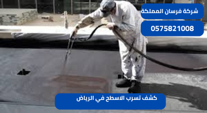 كشف تسرب الاسطح في الرياض