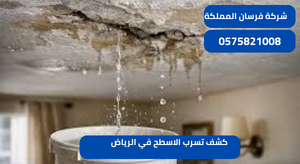 كشف تسرب الاسطح في الرياض