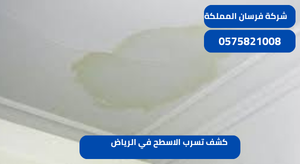 كشف تسرب الاسطح في الرياض