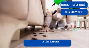 مكافحة حشرات