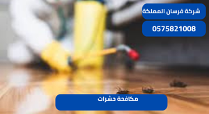 مكافحة حشرات