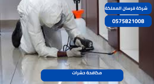 مكافحة حشرات