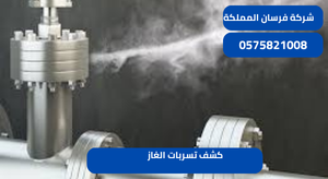 كشف تسربات الغاز