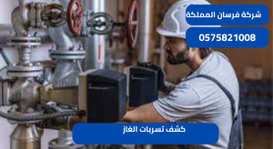 كشف تسربات الغاز