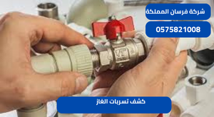 كشف تسربات الغاز