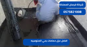 افضل عزل حمامات بحي المنوسيه