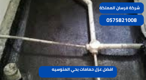 افضل عزل حمامات بحي المنوسيه